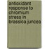 Antioxidant response to Chromium stress in Brassica juncea