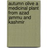 Autumn Olive a medicinal Plant From Azad Jammu and Kashmir door Syed Dilnawaz Gardezi