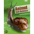 Bug Club Non-fiction Animal Self-defence (white B / Nc 2a)