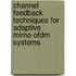 Channel Feedback Techniques For Adaptive Mimo-ofdm Systems