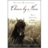 Chosen By A Horse: How A Broken Horse Fixed A Broken Heart