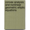 Convex Analysis and Nonlinear Geometric Elliptic Equations door Ilya J. Bakelman