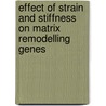 Effect Of Strain And Stiffness On Matrix Remodelling Genes door Dimitris Karamichos
