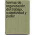 Formas de organización del trabajo, subjetividad y poder.