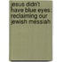 Jesus Didn't Have Blue Eyes: Reclaiming Our Jewish Messiah