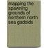 Mapping the spawning grounds of northern North Sea gadoids