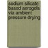 Sodium Silicate Based Aerogels Via Ambient Pressure Drying