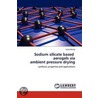 Sodium Silicate Based Aerogels Via Ambient Pressure Drying door Uzma Bangi