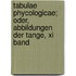 Tabulae Phycologicae; Oder, Abbildungen Der Tange, Xi Band