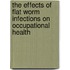 The Effects Of Flat Worm Infections On Occupational Health