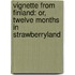 Vignette from Finland: Or, Twelve Months in Strawberryland