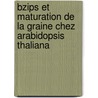 Bzips Et Maturation De La Graine Chez Arabidopsis Thaliana door Sandra Bensmihen
