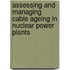 Assessing and Managing Cable Ageing in Nuclear Power Plants