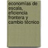 Economías de escala, eficiencia frontera y cambio técnico