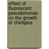 Effect Of Fluorescent Pseudomonas On The Growth Of Chickpea