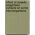 Effect of Suaeda Aegyptiaca Extracts on Some Microorganisms
