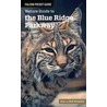 Falcon Pocket Guide: Nature Guide to the Blue Ridge Parkway by Rob Simpson