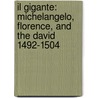 Il Gigante: Michelangelo, Florence, And The David 1492-1504 door Anton Gill