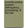 Juvenile Justice System: Delinquency, Processing, & the Law door Dean John Champion