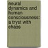 Neural Dynamics and Human Consciousness: A Tryst with Chaos