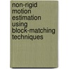 Non-rigid Motion Estimation Using Block-Matching Techniques by Carlos Fernandez-Lozano