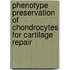 Phenotype Preservation of Chondrocytes for Cartilage Repair