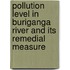 Pollution Level in Buriganga River and Its Remedial Measure