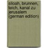 Siloah, Brunnen, Teich, Kanal Zu Jerusalem (German Edition)