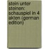 Stein Unter Steinen: Schauspiel in 4 Akten (German Edition)