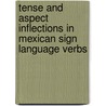 Tense and aspect inflections in Mexican Sign Language verbs by Boris Fridman-Mintz