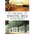 The Most Beautiful Walk In The World: A Pedestrian In Paris