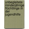 Unbegleitete Minderjährige Flüchtlinge in der Jugendhilfe door Eva Stauf