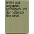 Briefe aus Aegypten, Aethiopien und der Halbinsel des Sinai.