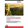Caracterización genética y molecular de levaduras vínicas door MaríA. Esther Rodríguez Jiménez