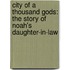 City Of A Thousand Gods: The Story Of Noah's Daughter-In-Law