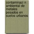 Contaminaci N Ambiental de Metales Pesados En Suelos Urbanos