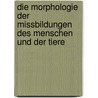 Die Morphologie der Missbildungen des Menschen und der Tiere door Schwalbe Ernst