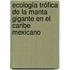 Ecología Trófica de la Manta Gigante en el Caribe Mexicano