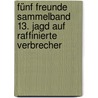 Fünf Freunde Sammelband 13. Jagd auf raffinierte Verbrecher door Enid Blyton