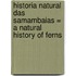 Historia Natural Das Samambaias = A Natural History of Ferns