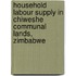 Household labour supply in Chiweshe Communal lands, Zimbabwe