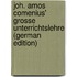 Joh. Amos Comenius' Grosse Unterrichtslehre (German Edition)