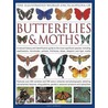 The Illustrated World Encyclopaedia of Butterflies and Moths door Sally Morgan