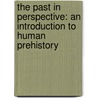 The Past In Perspective: An Introduction To Human Prehistory door Kenneth L. Feder