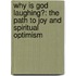 Why Is God Laughing?: The Path To Joy And Spiritual Optimism