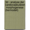 3D - Analyse der cardiovaskulären  Morphogenese (Tiermodell) door Daniel Firouzabadi