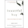 Beautiful Boy: A Father's Journey Through His Son's Addiction by David Sheff