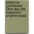 Biblischer Commentar Über Das Alte Testament: Prophet Jesaia