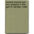 Coastal hazard and Risk analysis in the gulf of Cambay, India