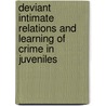 Deviant Intimate Relations And Learning Of Crime In Juveniles door Syed Imran Haider